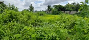 Basundhara P Extension 3 Katha South Plot for Sale