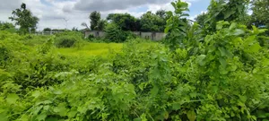 Basundhara P Extension 3 Katha South Plot for Sale