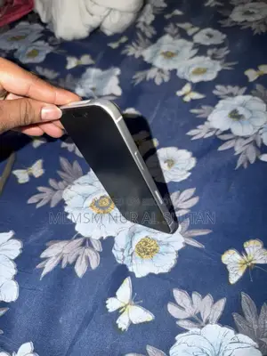 Apple iPhone 17 Pro 256 GB Silver