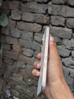 Apple iPhone 16 Pro Max 256 GB