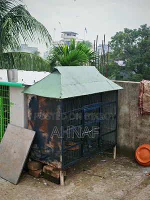 পাখির ডাপরি খাঁচা