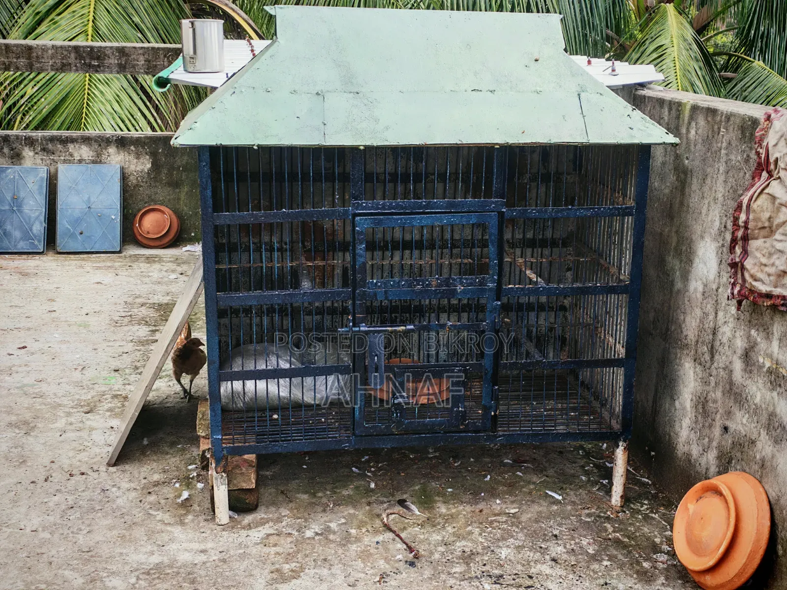 পাখির ডাপরি খাঁচা
