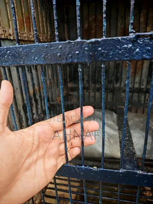 পাখির ডাপরি খাঁচা