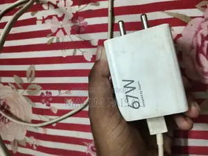 শাওমি অরিজিনাল ৬৭ডব্লিউ এর চার্জার