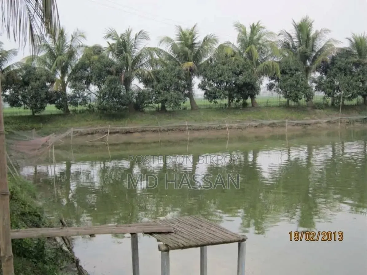 10.46 Acre Ready Poultry Hatchery and Fish Farm Sell