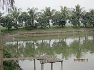 10.46 Acre Ready Poultry Hatchery and Fish Farm Sell