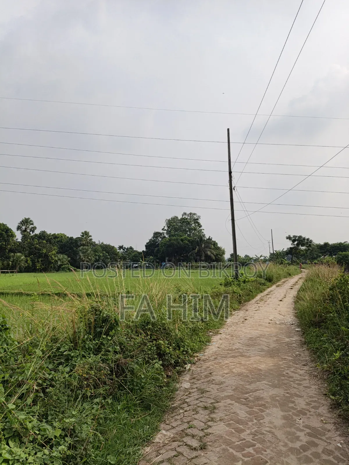 গাজীপুর সিটি করপোরেশন ৩৬ নং ওয়ার্ড