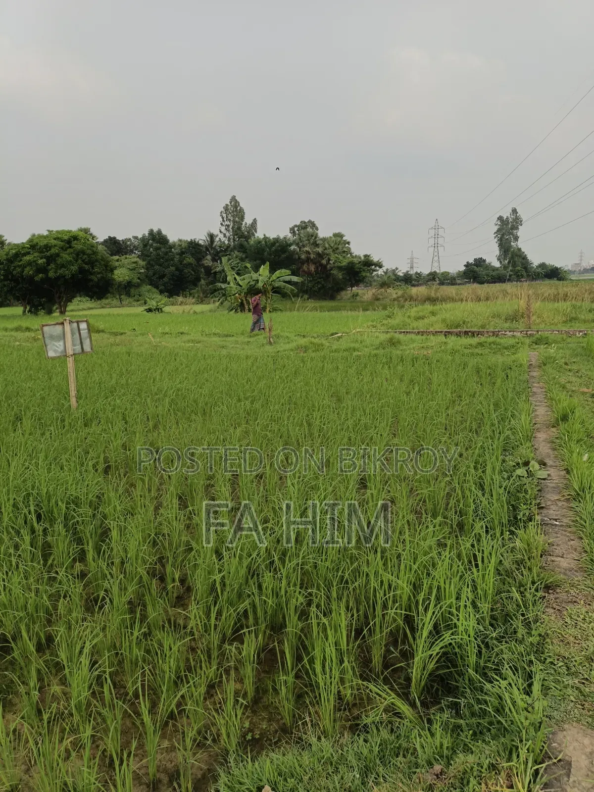 গাজীপুর সিটি করপোরেশন ৩৬ নং ওয়ার্ড