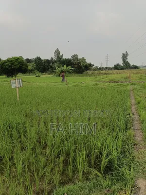 গাজীপুর সিটি করপোরেশন ৩৬ নং ওয়ার্ড