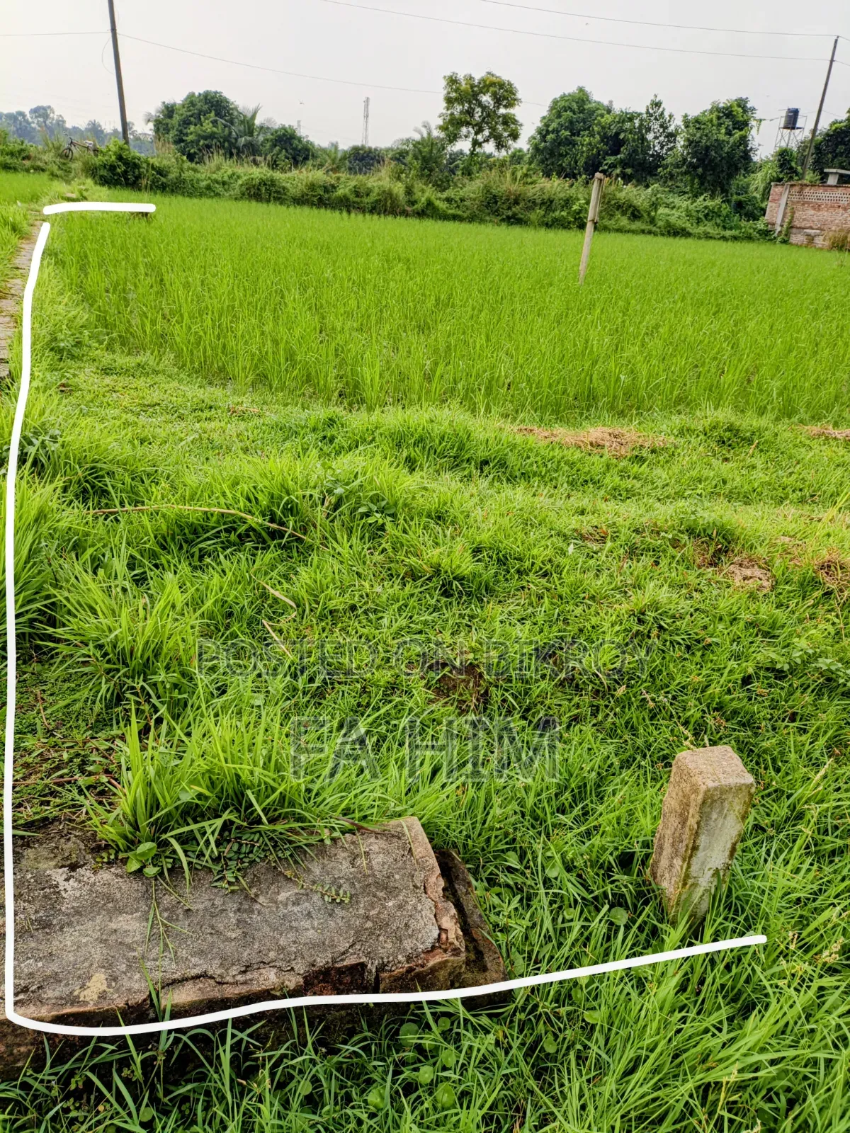 গাজীপুর সিটি করপোরেশন ৩৬ নং ওয়ার্ড