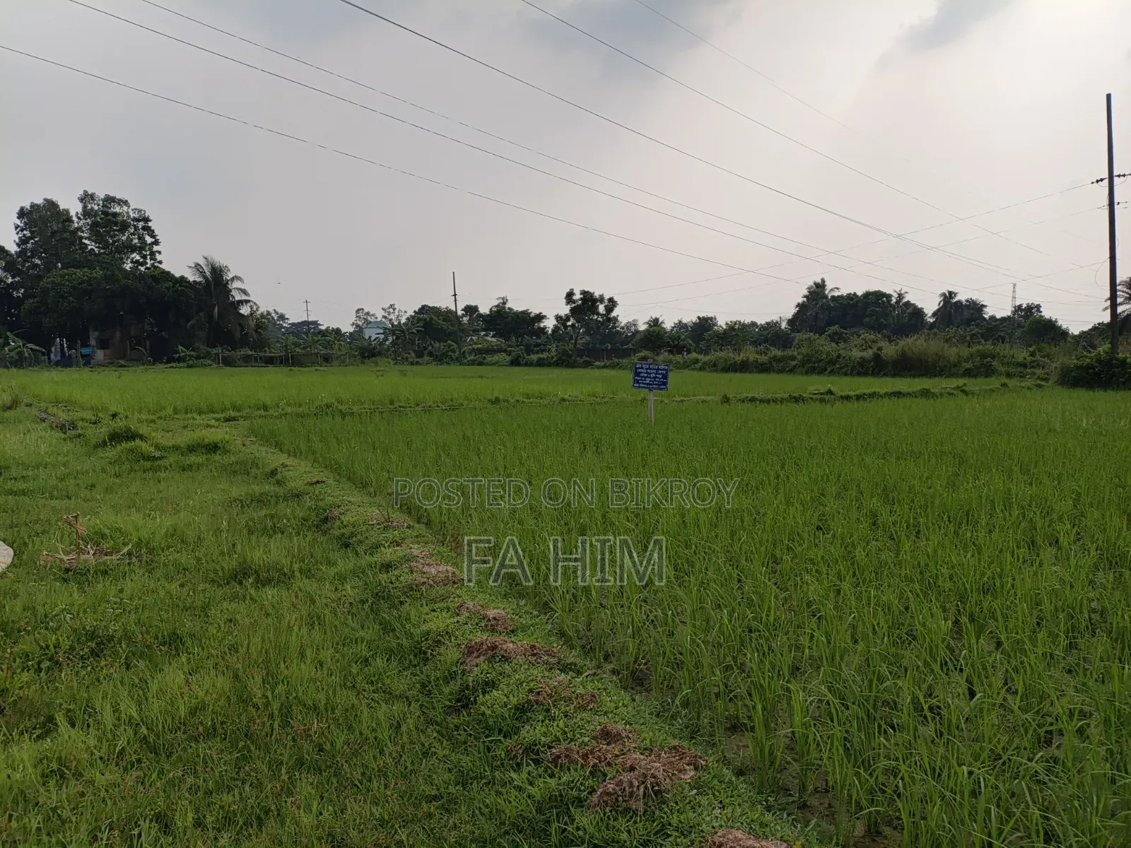 গাজীপুর সিটি করপোরেশন ৩৬ নং ওয়ার্ড