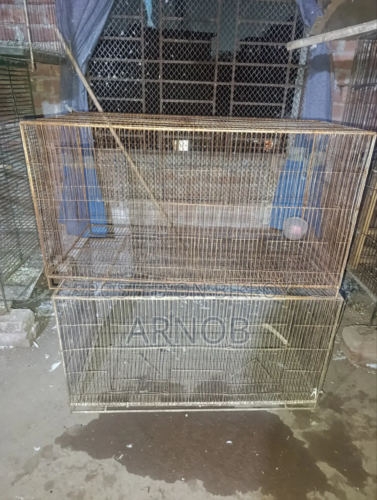 ৩৬*১৮ পাখির খাচা