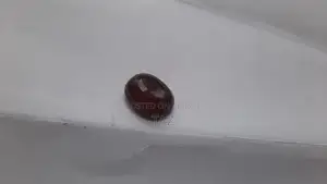 New Original Gomed Gemstones