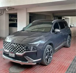 Hyundai Santa Fe Calligraphy 2021 Gray