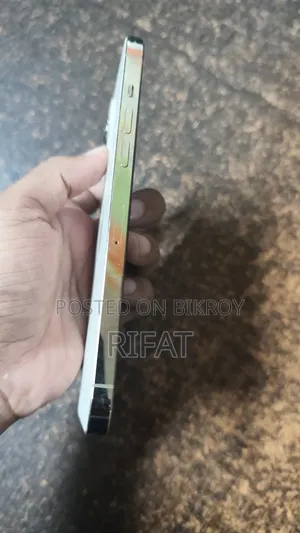 অ্যাপল আইফোন ১২ প্রো ম্যাক্স ২৫৬ জিবি রোজ গোল্ড