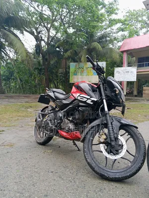 বাজাজ পালসার এনএস ১৬০ ২০১৯ রেড