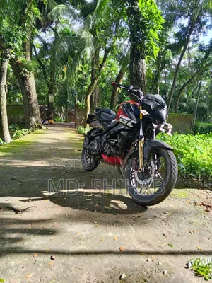 বাজাজ পালসার এনএস ১৬০ ২০১৯ রেড