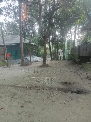 (8 Decimals Homestead), (Pond and Lowland 10 Decimals) Land for Sale