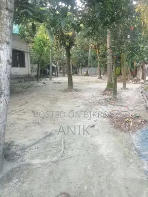 (8 Decimals Homestead), (Pond and Lowland 10 Decimals) Land for Sale