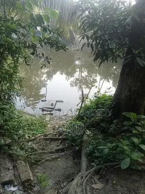 (8 Decimals Homestead), (Pond and Lowland 10 Decimals) Land for Sale