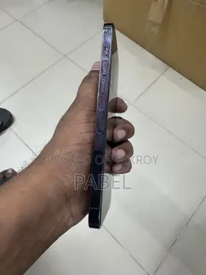 অ্যাপল আইফোন ১৪ প্রো ম্যাক্স ২৫৬ জিবি পার্পল