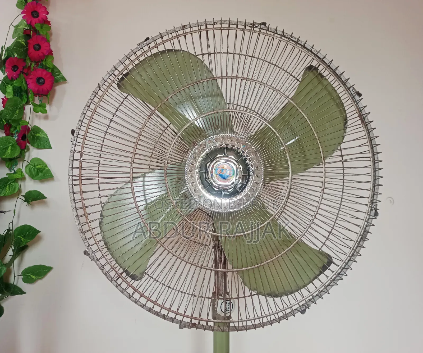 অরিজিনাল পাকিস্তানি ফ্যান