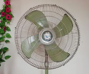 অরিজিনাল পাকিস্তানি ফ্যান