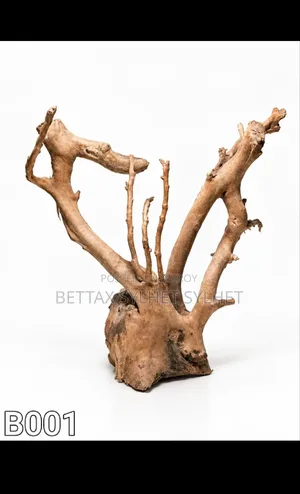 Bogut / Driftwood