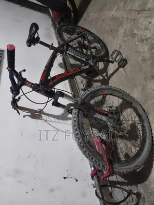 Bicycle for sale