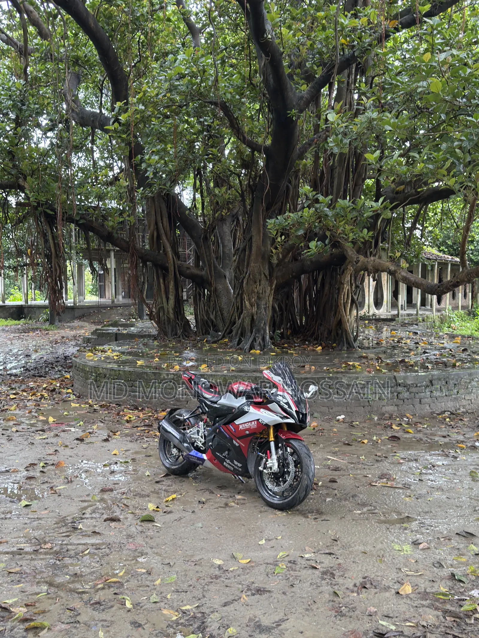 Yamaha R15M 2022 Red
