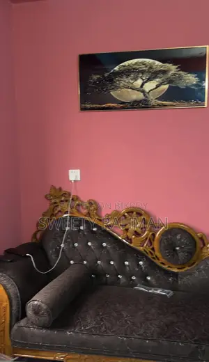 ব্র্যান্ড নিউ ডিভাইন সোফা