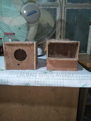 ব্রিডিং বক্স সেল হবে