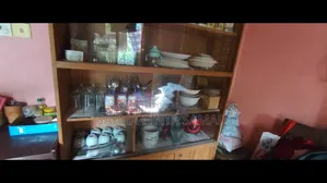 Showcase Cum Bookshelf