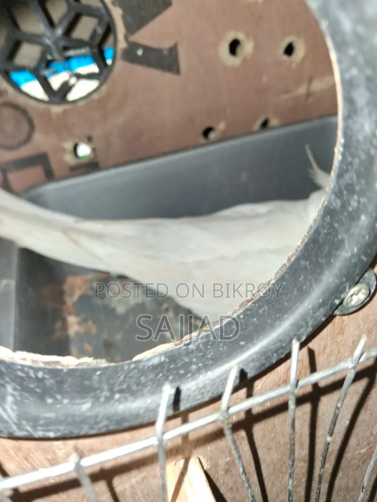 ককটেল মাস্টার পেয়ার
