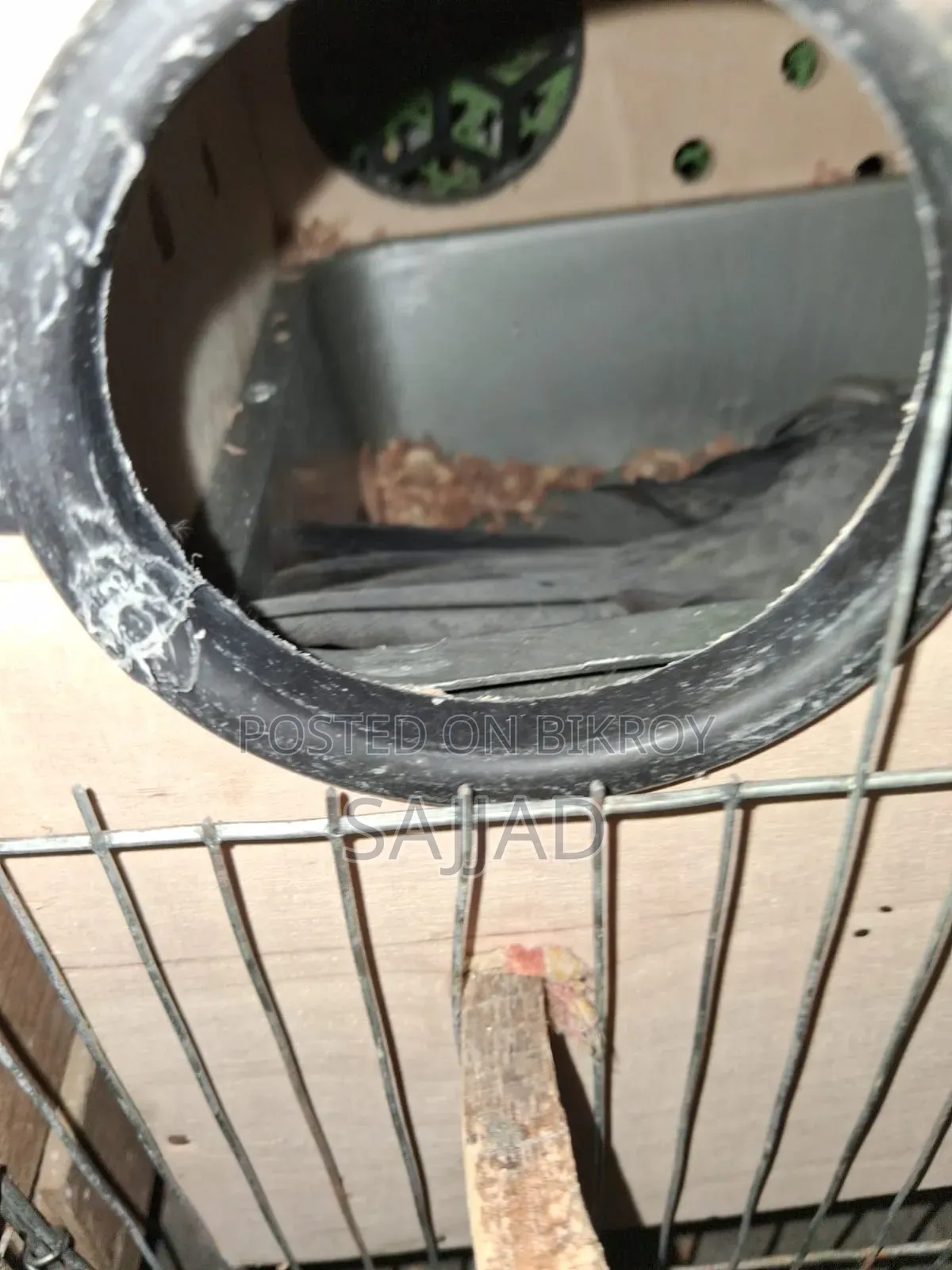 ককটেল মাস্টার পেয়ার