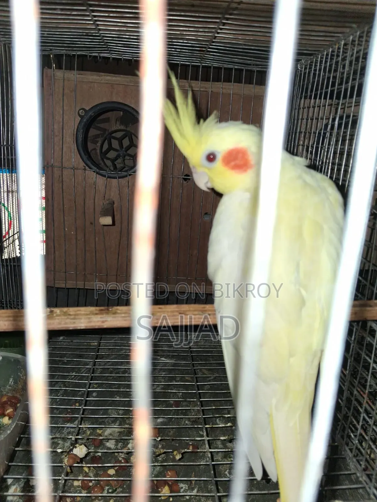 ককটেল মাস্টার পেয়ার