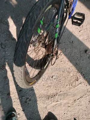 China Phoenix Cycle
