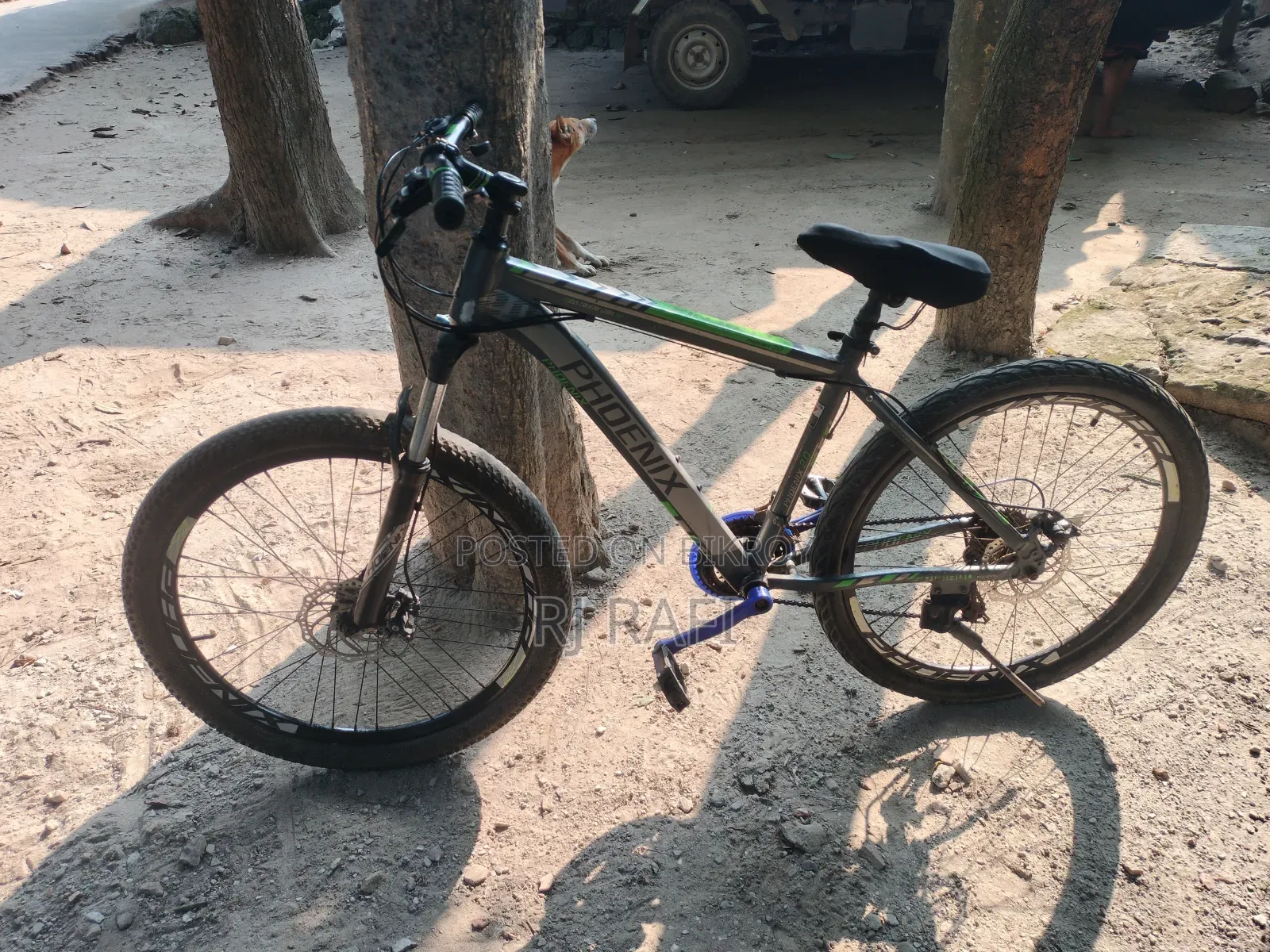 China Phoenix Cycle