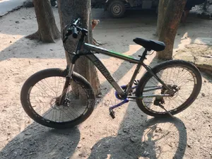 China Phoenix Cycle