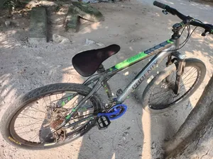 China Phoenix Cycle