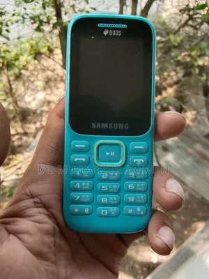 স্যামসাং বি৩১০