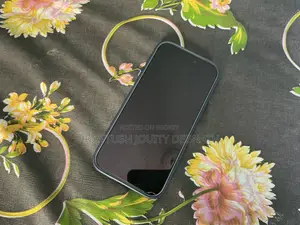 অ্যাপল আইফোন ১৭ প্রো ম্যাক্স ২৫৬ জিবি সিলভার