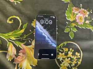 অ্যাপল আইফোন ১৭ প্রো ম্যাক্স ২৫৬ জিবি সিলভার
