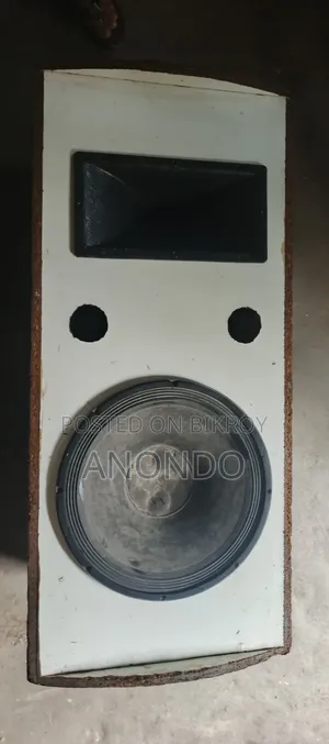 Amplifier 15inc Spekar