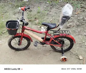 Bicycle Like New