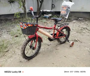 Bicycle Like New