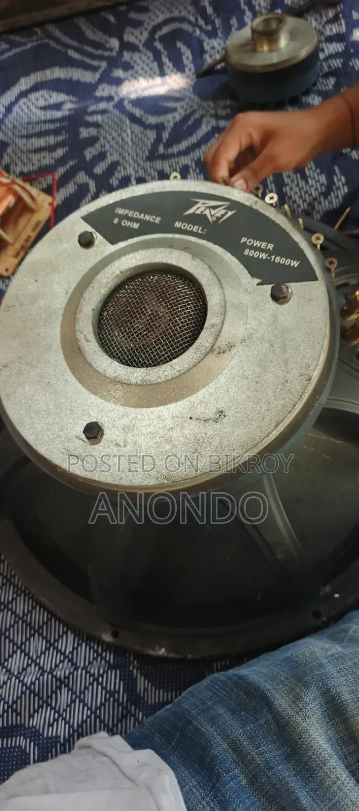 Amplifier 15inc Spekar