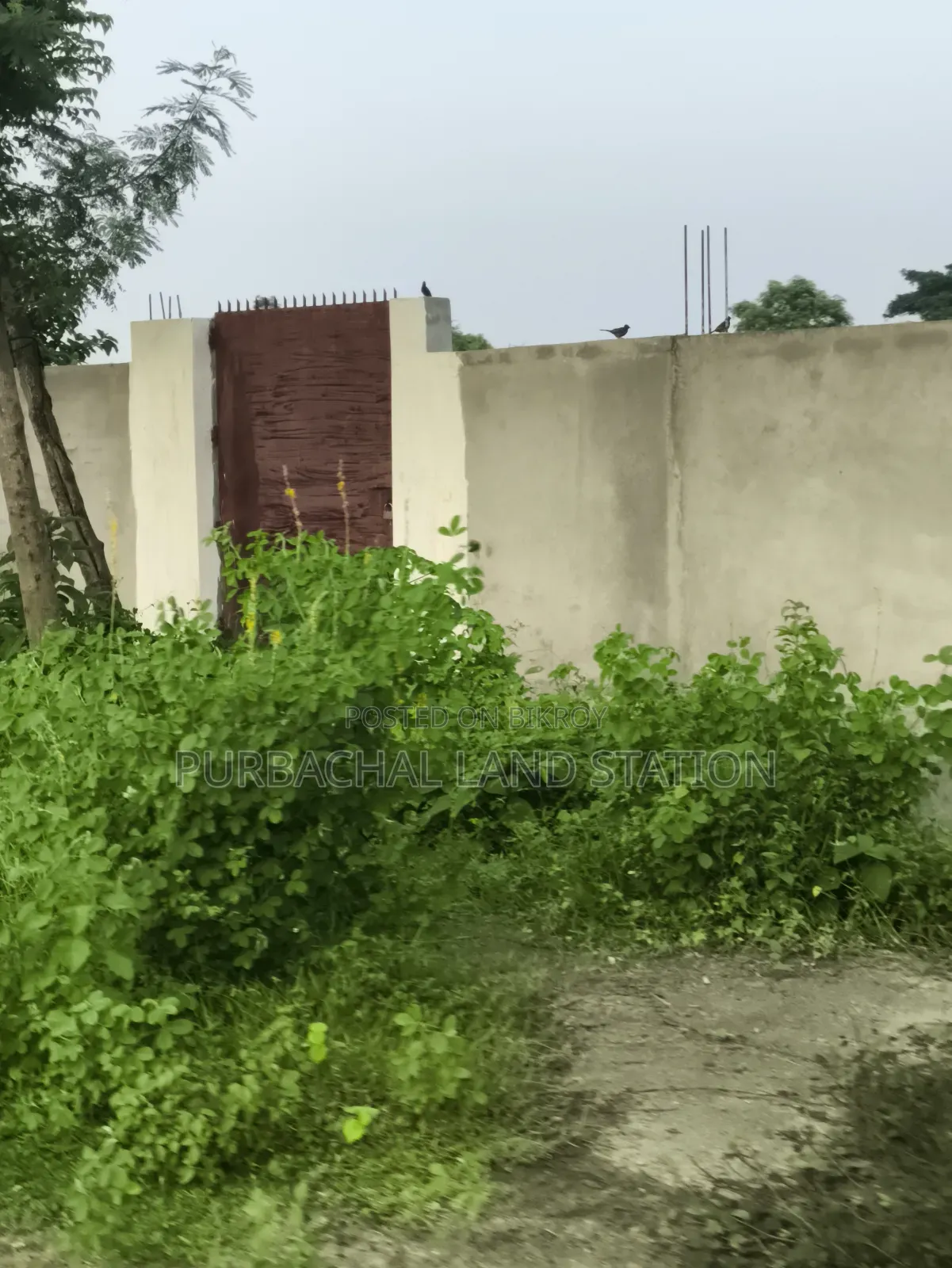 Sector: 24, South-East Corner Prime Location 3 Katha Plot Sale in Purbachal