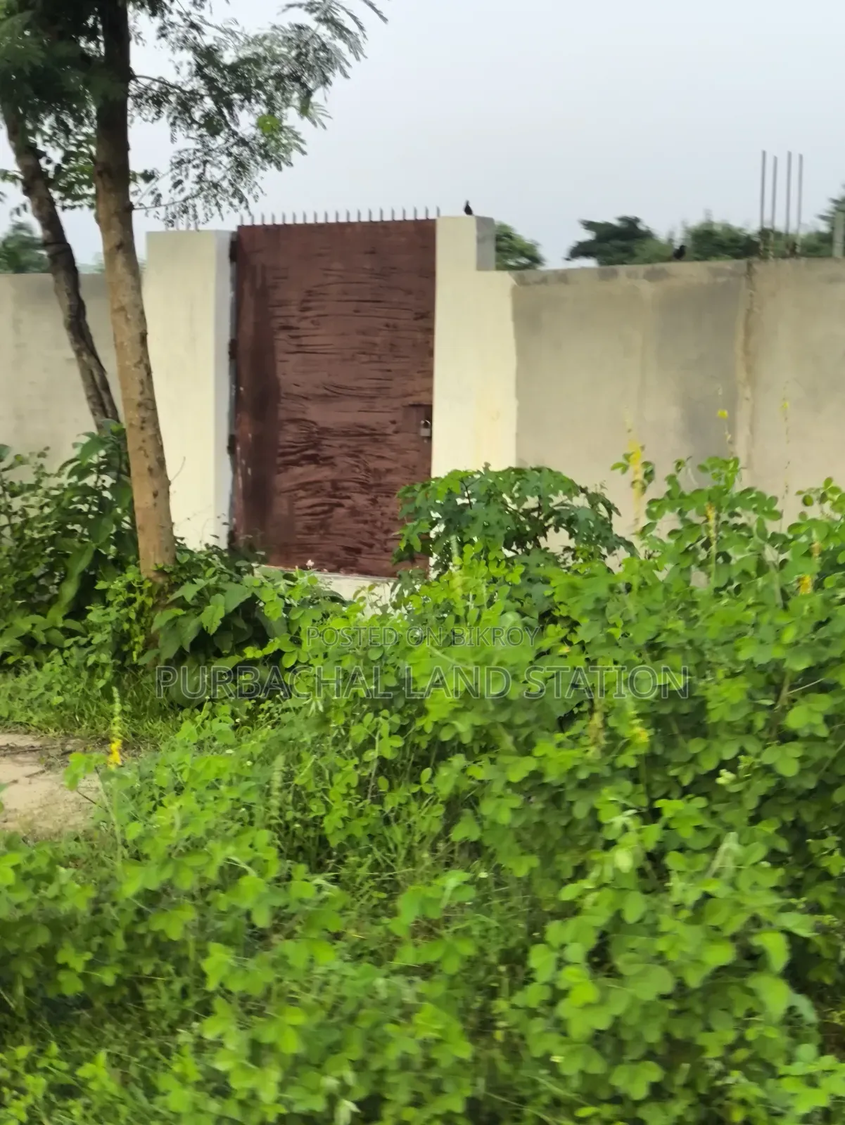 Sector: 24, South-East Corner Prime Location 3 Katha Plot Sale in Purbachal