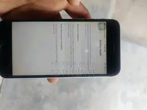 অ্যাপল আইফোন ৬ ১৬ জিবি সিলভার